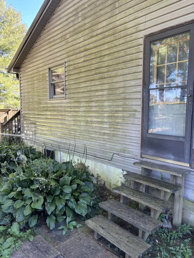 Before: siding covered in green algae
