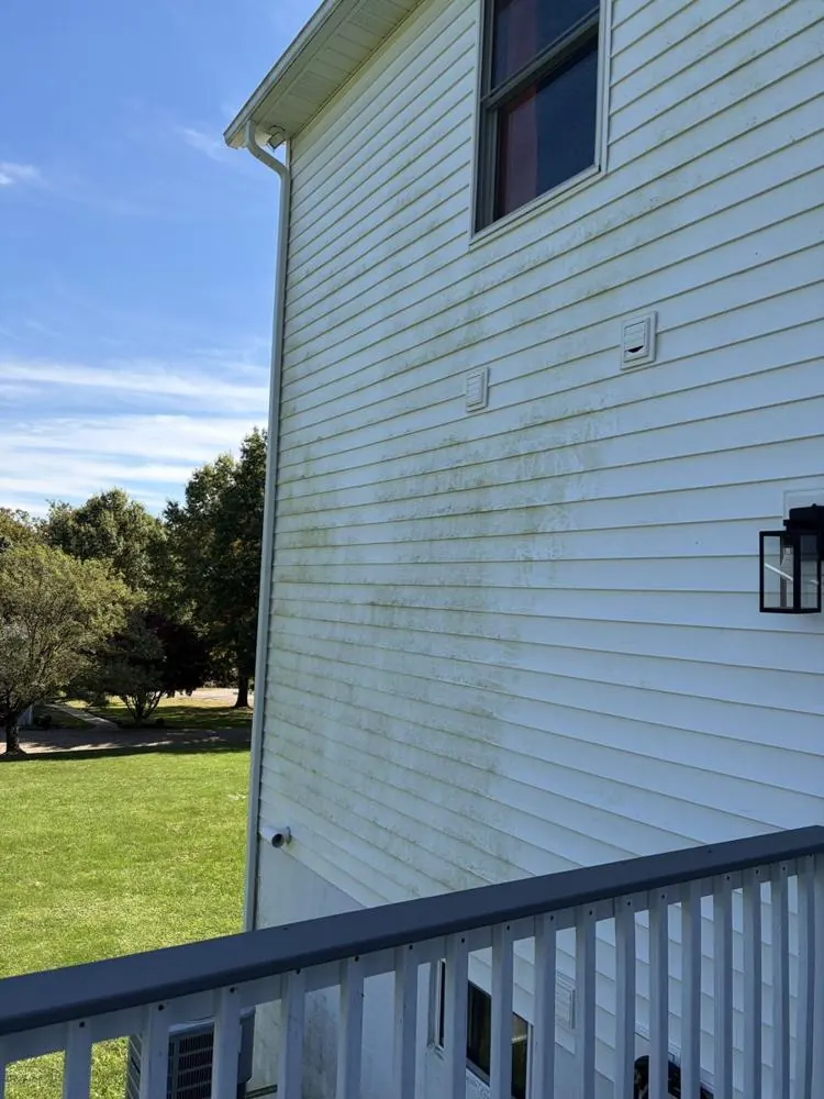 Before: white siding streaked with green algae
