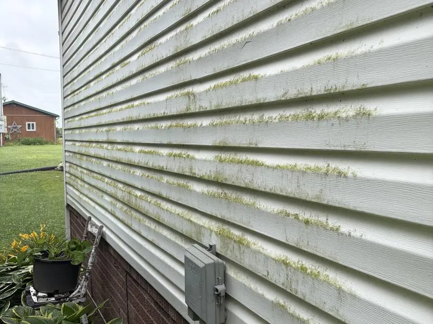 Before: dirty siding