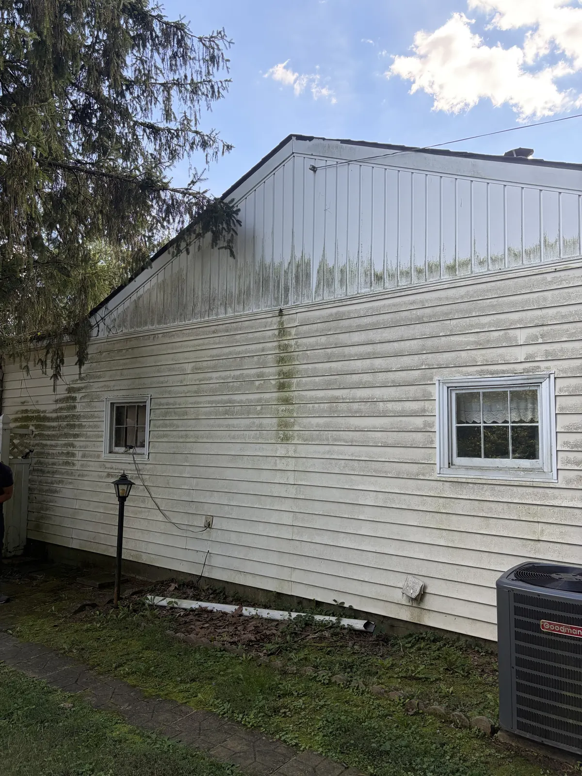 Before: siding and gable covered in green algae streaks
