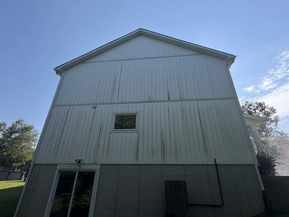 Before: tall vertical siding streaked with green algae