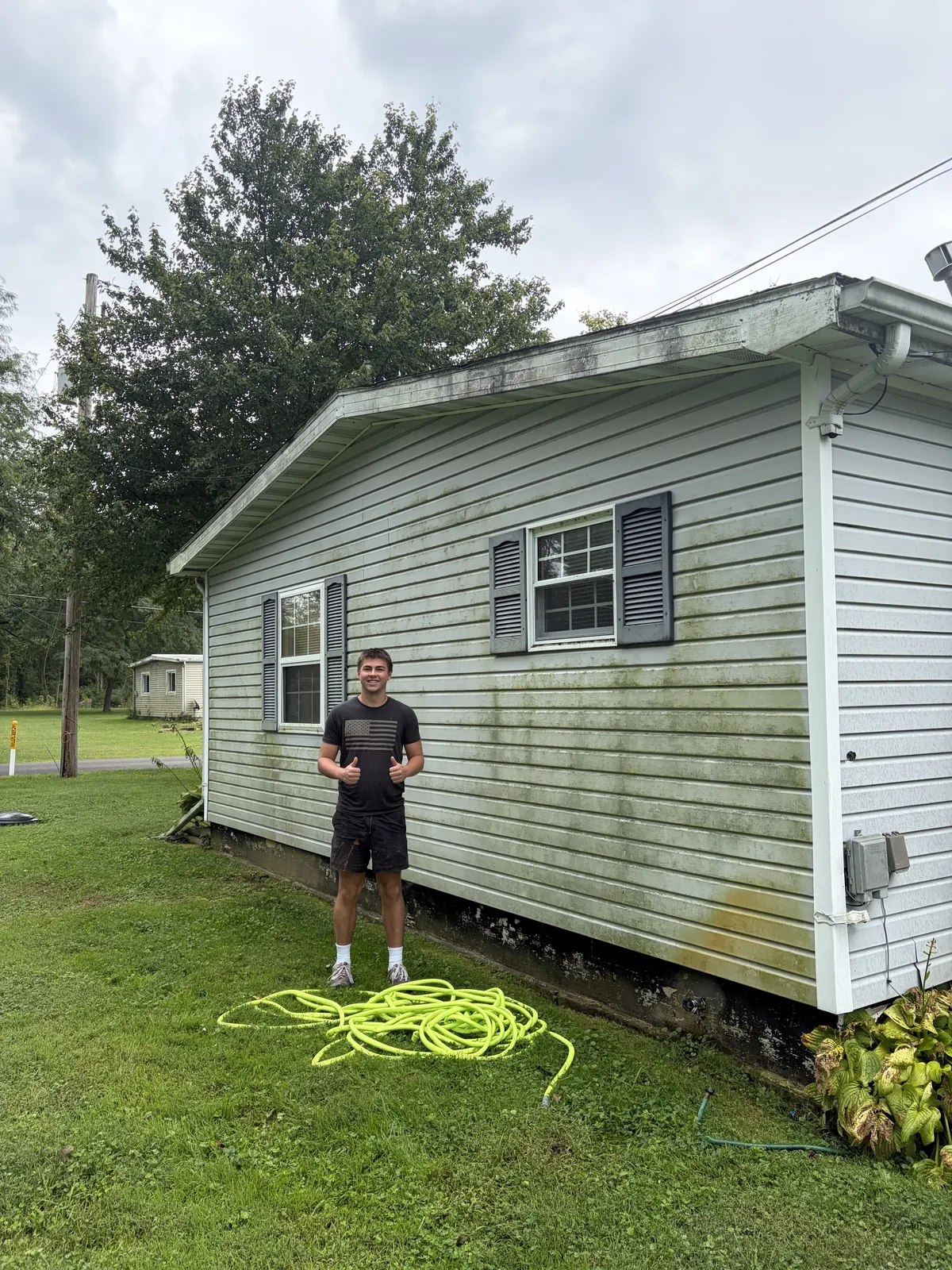 Before: gray siding covered in green algae