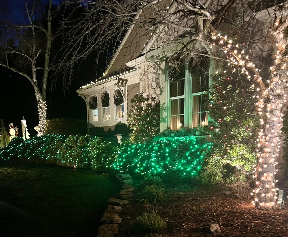 Bushes covered in green lights and a wrapped tree trunk
