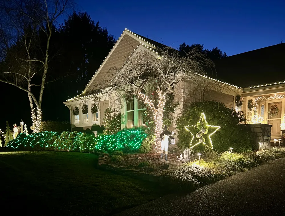 Roofline lights, wrapped tree and lighted star in the front bed