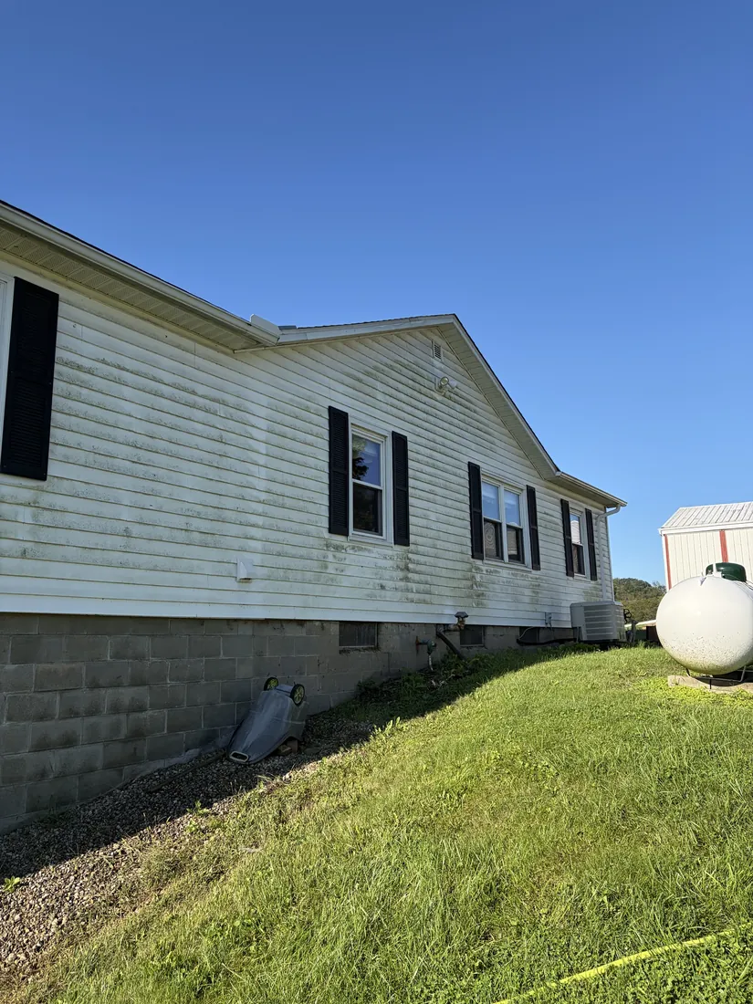 Before: white siding streaked with green algae