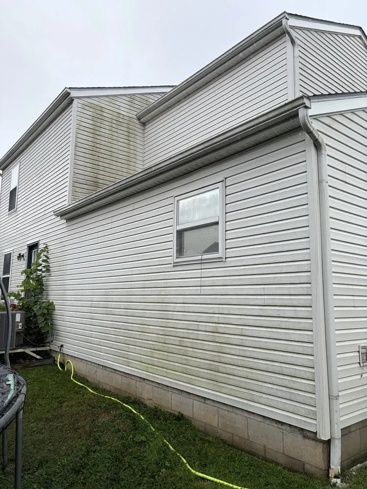 Before: two-story siding with algae streaks under the roofline